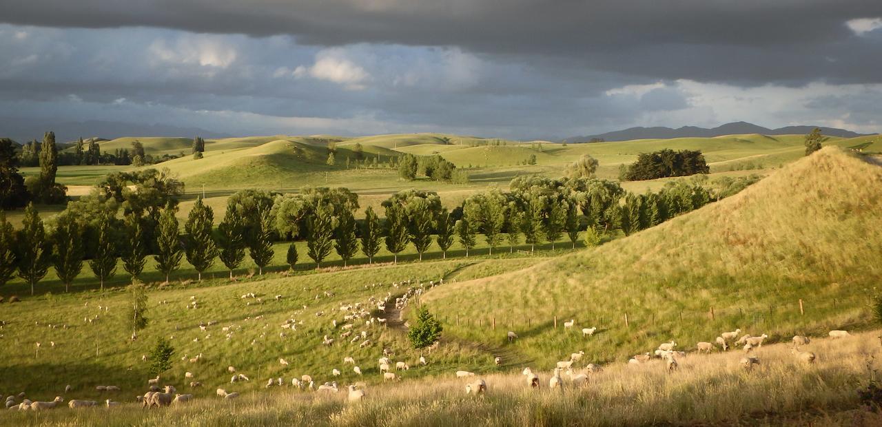 Tree House Lodge Bed & Breakfast Cheviot Esterno foto
