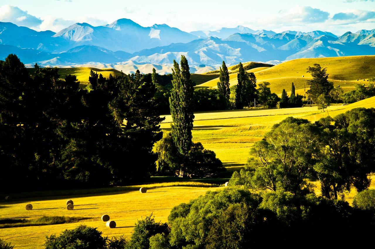 Tree House Lodge Bed & Breakfast Cheviot Esterno foto
