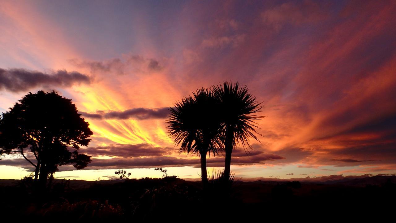 Tree House Lodge Bed & Breakfast Cheviot Esterno foto