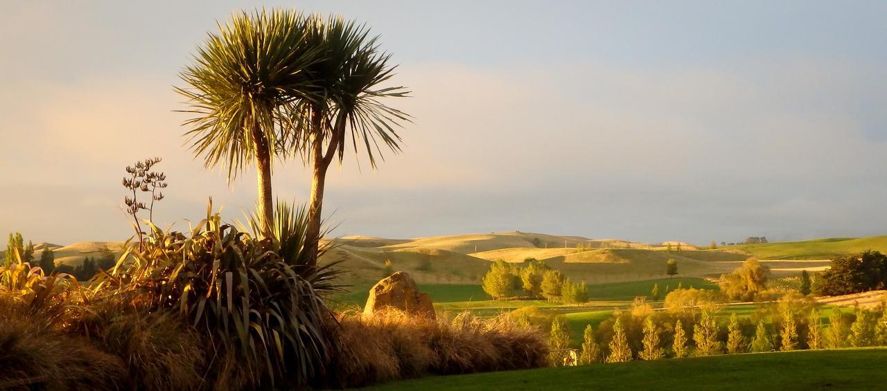 Tree House Lodge Bed & Breakfast Cheviot Esterno foto