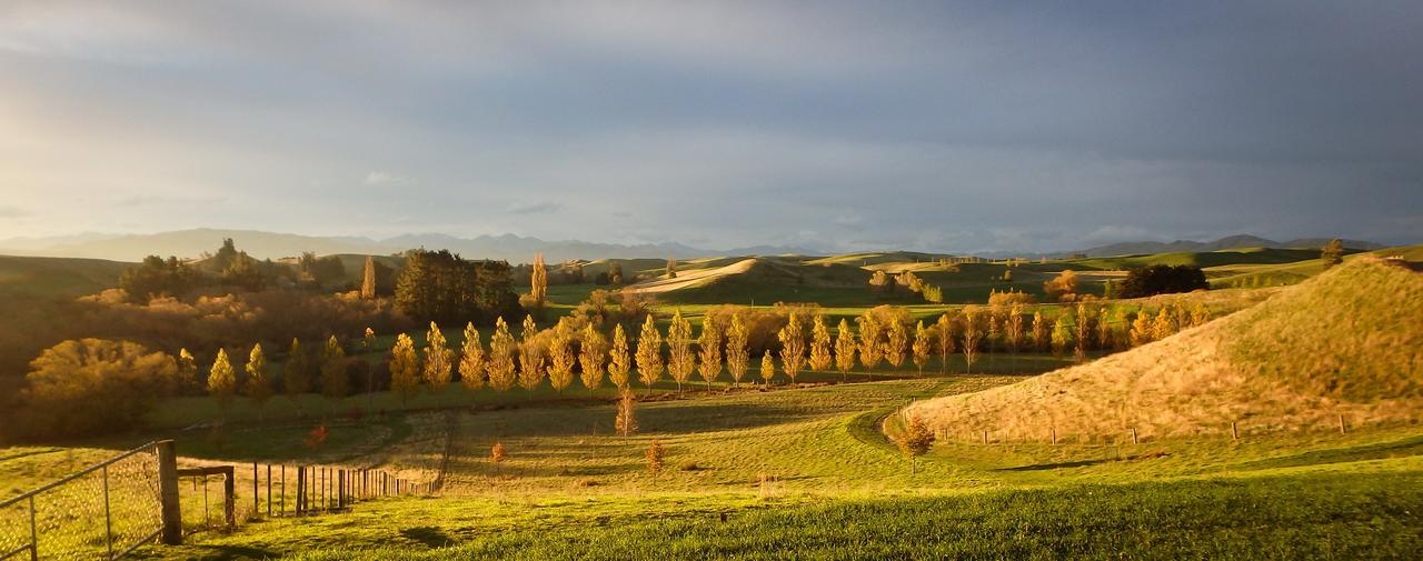 Tree House Lodge Bed & Breakfast Cheviot Esterno foto
