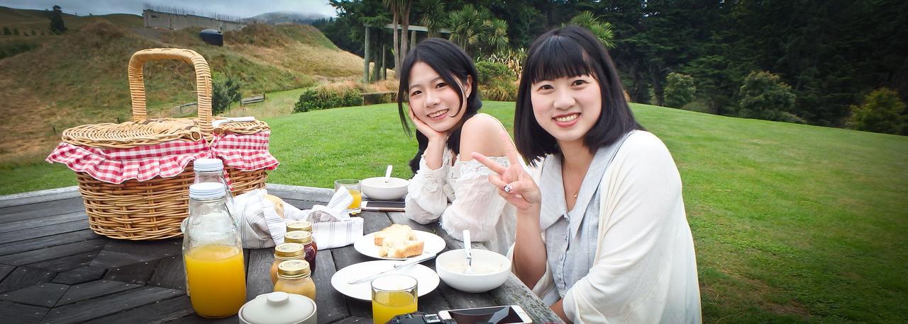 Tree House Lodge Bed & Breakfast Cheviot Esterno foto