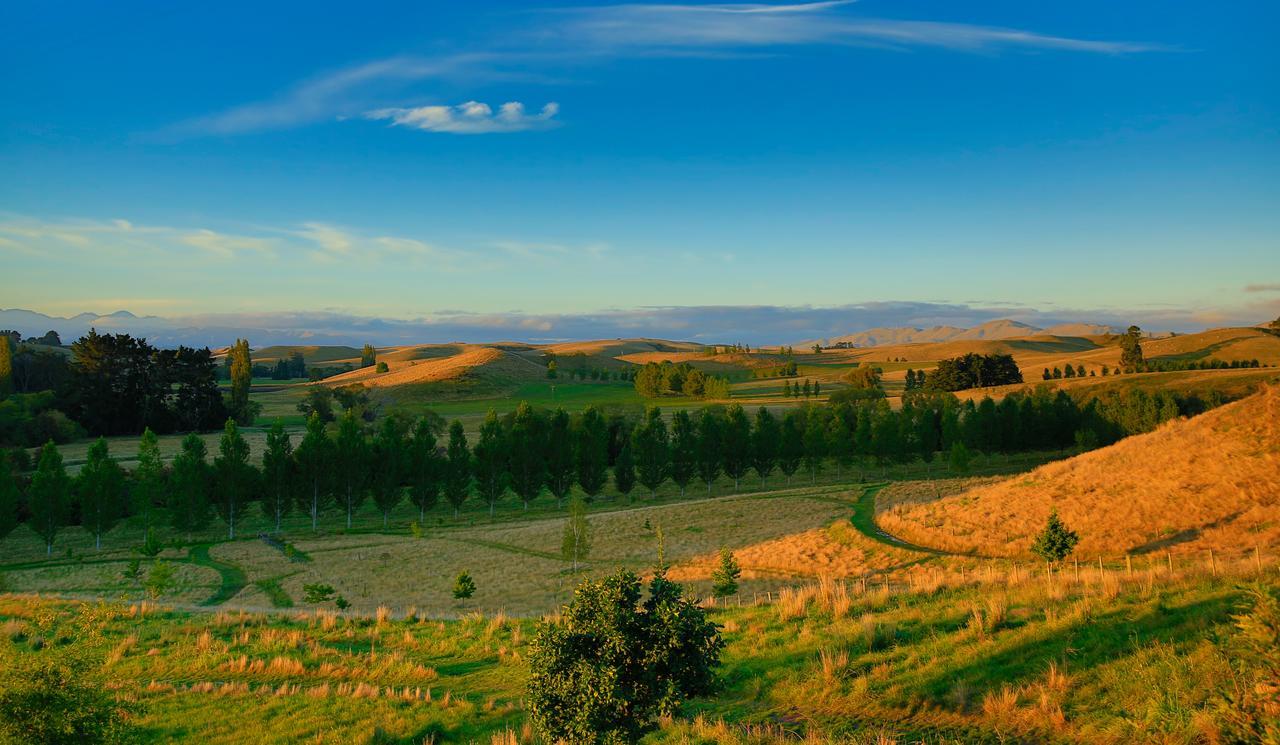 Tree House Lodge Bed & Breakfast Cheviot Esterno foto