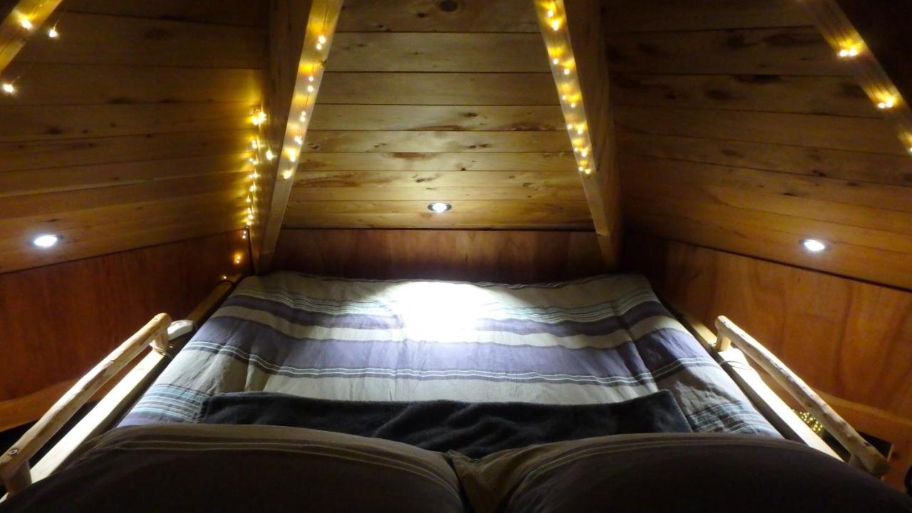 Tree House Lodge Bed & Breakfast Cheviot Esterno foto